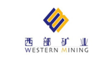 Anhui South Chemical Pump Co., Ltd.